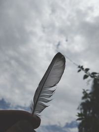 Low angle view of hand holding feather against sky