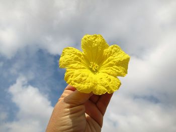 Close-up of hand holding yellow flower against cloudy sky
