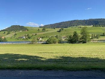 Scenic view of field against sky