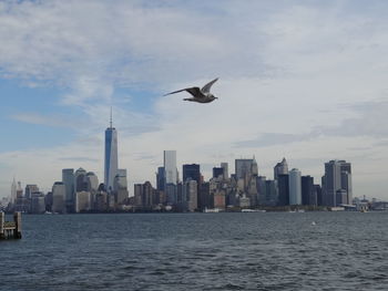 Seagull flying over sea against sky