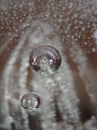 Close-up of water drops on glass