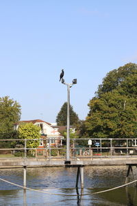 Birds by building against clear sky