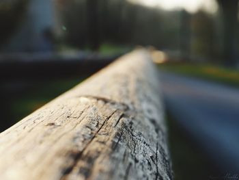 Close-up of wooden plank