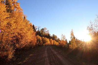 Road amidst trees against sky during autumn