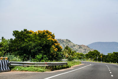 Road by trees against clear sky