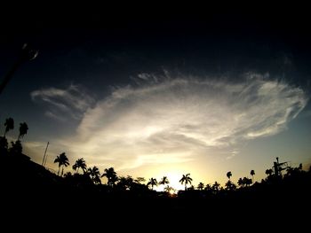 Silhouette trees against sky during sunset