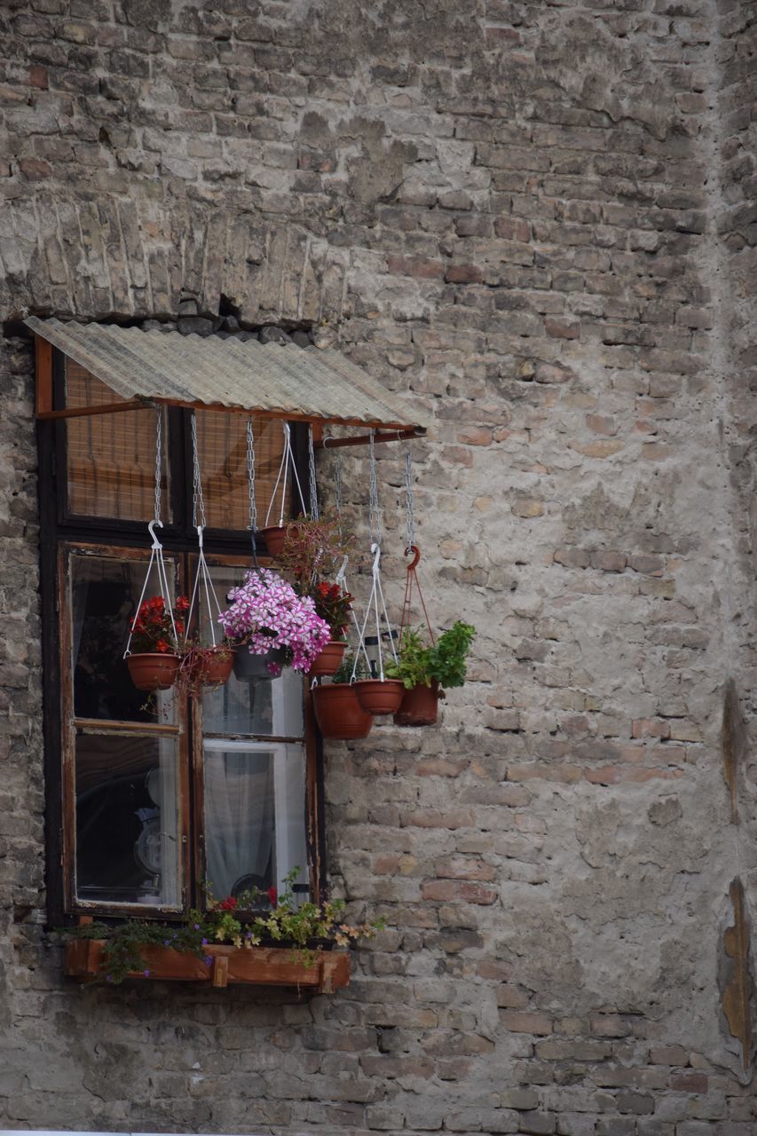 plant, hanging, flowering plant, architecture, flower, built structure, wall - building feature, no people, potted plant, wall, brick wall, brick, building exterior, building, day, growth, nature, decoration, outdoors, house, stone wall, flower pot, flower arrangement, bouquet