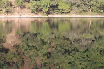 Scenic view of lake