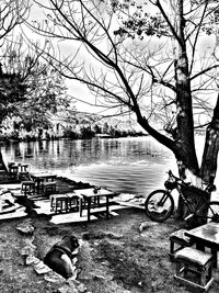 Bare tree by lake against sky