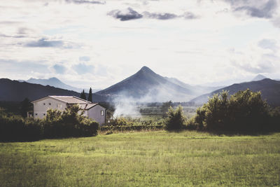 Scenic view of field against sky