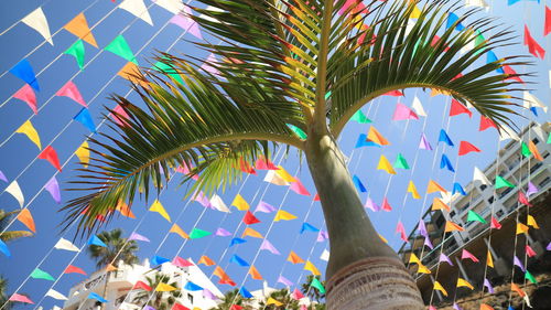 Low angle view of palm trees against sky