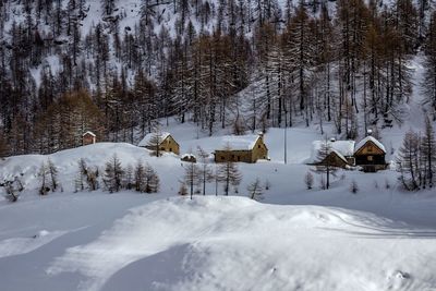 Snow covered land and trees against sky