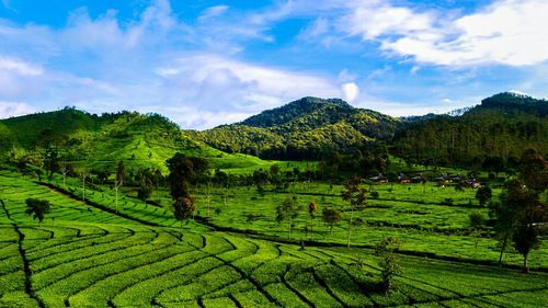 Scenic view of field against cloudy sky