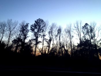 Close-up of silhouette trees against sky