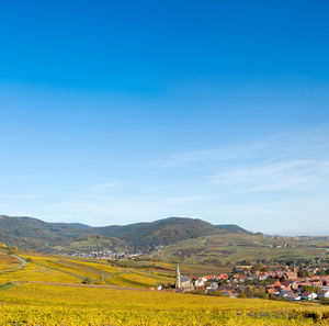 Scenic view of field against blue sky