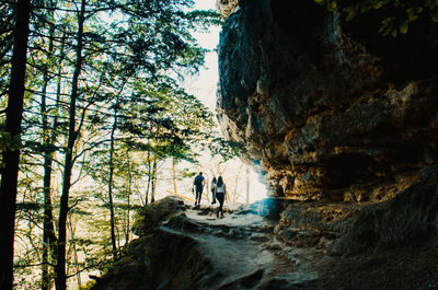 People on rock amidst trees in forest