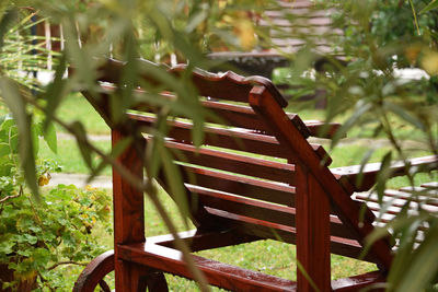 Close-up of chair against plants