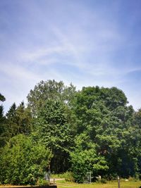 Trees on landscape against sky