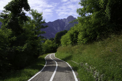 Road amidst trees against sky