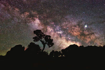 Low angle view of silhouette trees against sky at night