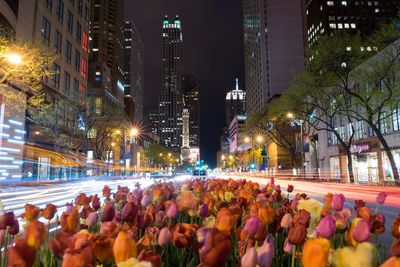 Crowd on city street at night