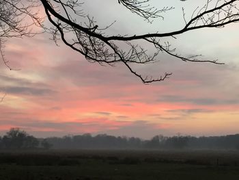 Silhouette bare trees on field against sky during sunset