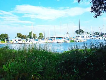 Boats moored at harbor against sky