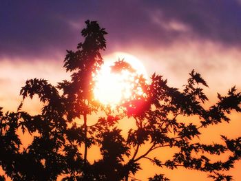 Low angle view of silhouette trees against romantic sky