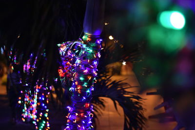 Illuminated christmas tree at night