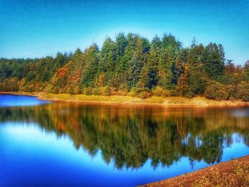 Reflection of trees in lake against blue sky