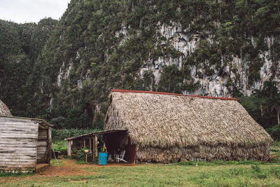 House on field by trees and plants