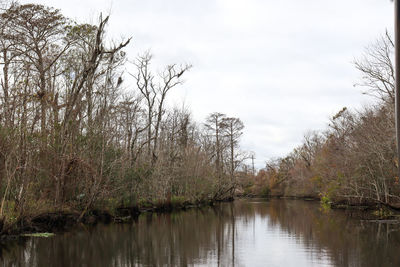 Scenic view of lake in forest against sky