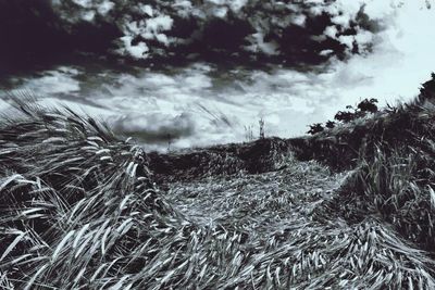 Scenic view of field against cloudy sky