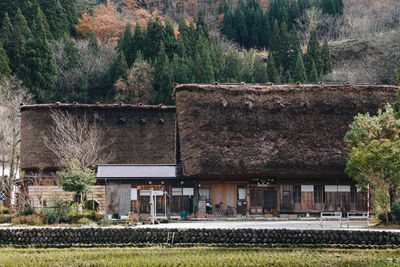 House and trees by old building