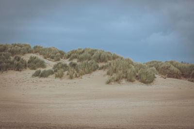 Scenic view of desert against sky