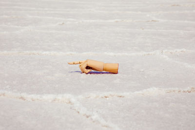 Wooden hand pointing on salt flat