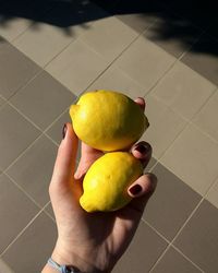 Close-up of man holding fruits