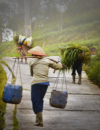 Rear view of people working on plants