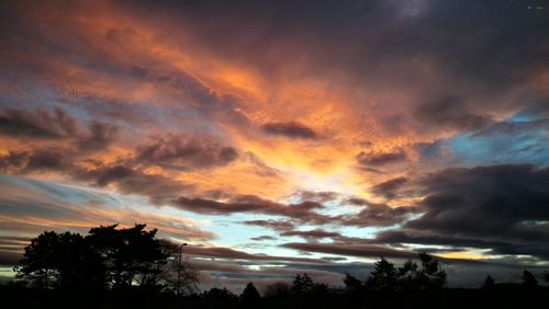 Low angle view of silhouette trees against dramatic sky