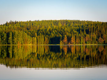 Scenic view of lake by trees against sky