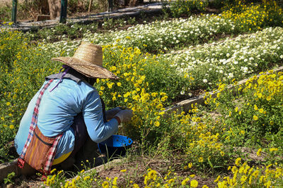 Scenic view of flowering plants in farm