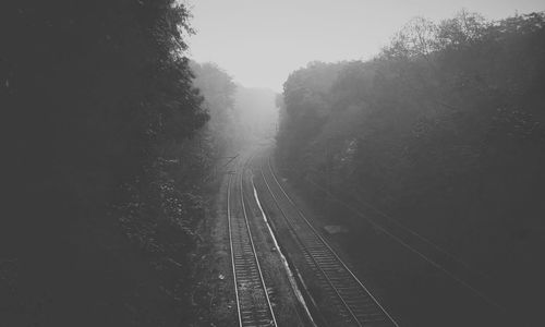 High angle view of railroad tracks amidst trees