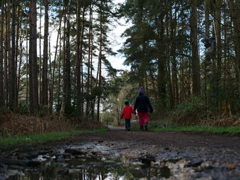Rear view of people walking in forest