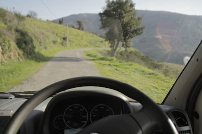 Close-up of car on road against trees