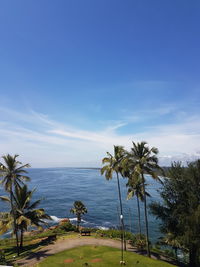 Palm trees on beach against blue sky