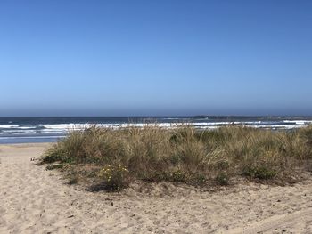 Scenic view of sea against clear sky
