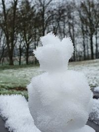 Close-up of frozen plant on snow covered tree