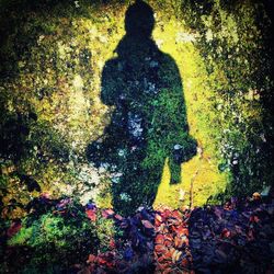 Shadow of person on tree trunk