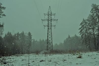 Trees on field against sky during winter