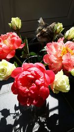 Close-up of roses in vase on table